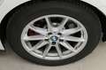 BMW 420 M Sport Pro AHK ACC GSD 360° DA Weiß - thumbnail 12