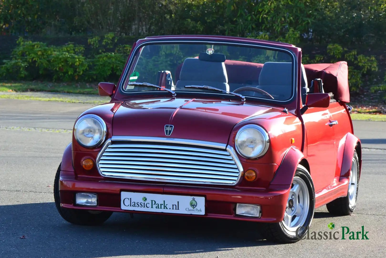 Rover MINI Cabriolet Rood - 1