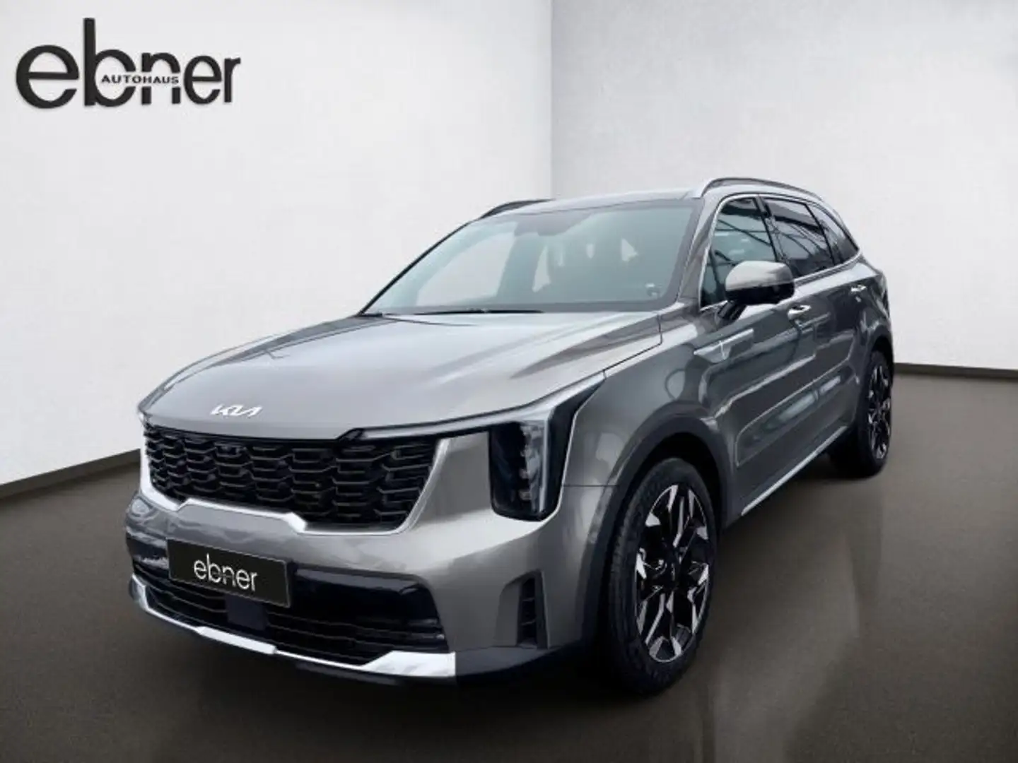 Kia Sorento 2.2 CRDi Platinum 4WD | 360° Kamera | 6- Braun - 2