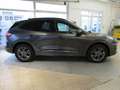 Ford Kuga Plug-In Hybrid 2.5l           *SALE-AKTION*    -EU Gris - thumbnail 12