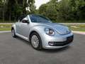 Volkswagen Beetle Cabriolet Club 1,2 77KW  1. Hand  Mwst. Silber - thumbnail 7