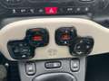 Fiat Panda Panda III 4x4 1.3 mjt 16v 4x4 s Vert - thumbnail 16
