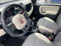 Fiat Panda Panda III 4x4 1.3 mjt 16v 4x4 s Vert - thumbnail 9