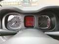 Fiat Panda Panda 1.0 firefly hybrid Cross s&s 70cv 5p.ti Rouge - thumbnail 23