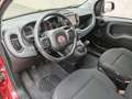 Fiat Panda Panda 1.0 firefly hybrid Cross s&s 70cv 5p.ti Rouge - thumbnail 20