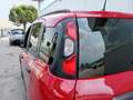 Fiat Panda Panda 1.0 firefly hybrid Cross s&s 70cv 5p.ti Rouge - thumbnail 19