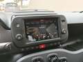 Fiat Panda Panda 1.0 firefly hybrid Cross s&s 70cv 5p.ti Rouge - thumbnail 9