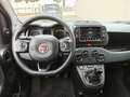 Fiat Panda Panda 1.0 firefly hybrid Cross s&s 70cv 5p.ti Rouge - thumbnail 8
