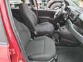 Fiat Panda Panda 1.0 firefly hybrid Cross s&s 70cv 5p.ti Rouge - thumbnail 24