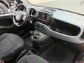 Fiat Panda Panda 1.0 firefly hybrid Cross s&s 70cv 5p.ti Rouge - thumbnail 7