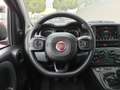 Fiat Panda Panda 1.0 firefly hybrid Cross s&s 70cv 5p.ti Rouge - thumbnail 21