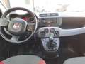 Fiat Panda Panda 1.2 Easy 69cv E6 Bianco - thumbnail 7