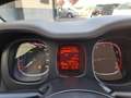 Fiat Panda Panda 1.2 Easy 69cv E6 Bianco - thumbnail 11