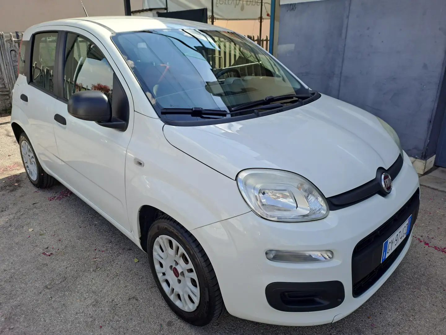 Fiat Panda Panda 1.2 Easy 69cv E6 Bianco - 2