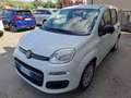 Fiat Panda Panda 1.2 Easy 69cv E6 Bianco - thumbnail 1