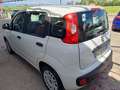 Fiat Panda Panda 1.2 Easy 69cv E6 Bianco - thumbnail 3