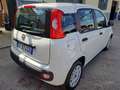 Fiat Panda Panda 1.2 Easy 69cv E6 Bianco - thumbnail 4