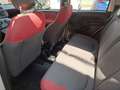 Fiat Panda Panda 1.2 Easy 69cv E6 Bianco - thumbnail 9