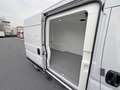 Fiat Ducato L2H2 koelwagen 140PK MT Blanc - thumbnail 11