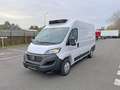 Fiat Ducato L2H2 koelwagen 140PK MT Blanc - thumbnail 1