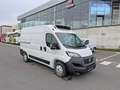 Fiat Ducato L2H2 koelwagen 140PK MT Blanc - thumbnail 3