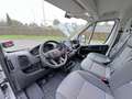 Fiat Ducato L2H2 koelwagen 140PK MT Blanc - thumbnail 9
