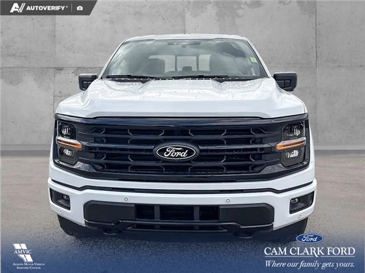 Ford F 150 fotografie Ford F 150