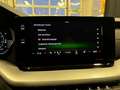 Skoda Octavia Style 2,0 TDI Gris - thumbnail 37