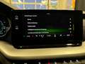 Skoda Octavia Style 2,0 TDI Gris - thumbnail 38