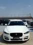Jaguar XE 2.0 D 180 CV aut. Prestige Bianco - thumbnail 5