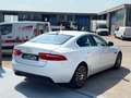 Jaguar XE 2.0 D 180 CV aut. Prestige Bianco - thumbnail 4
