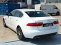 Jaguar XE 2.0 D 180 CV aut. Prestige Bianco - thumbnail 2