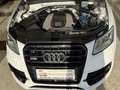 Audi SQ5 3.0TDI Plus quattro Tiptronic 340 Blanco - thumbnail 29
