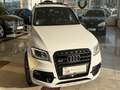 Audi SQ5 3.0TDI Plus quattro Tiptronic 340 Blanco - thumbnail 16
