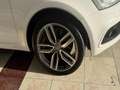 Audi SQ5 3.0TDI Plus quattro Tiptronic 340 Blanco - thumbnail 21