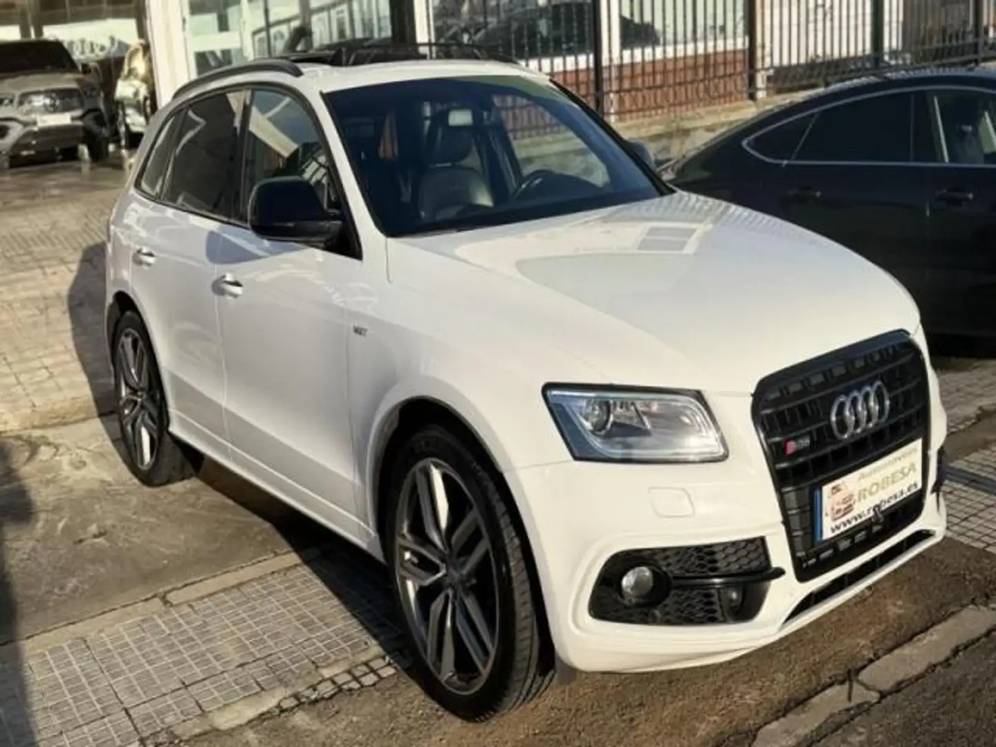 Audi SQ5 3.0TDI Plus quattro Tiptronic 340 Weiß - 1