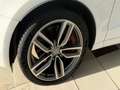 Audi SQ5 3.0TDI Plus quattro Tiptronic 340 Blanco - thumbnail 19