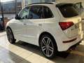 Audi SQ5 3.0TDI Plus quattro Tiptronic 340 Blanco - thumbnail 26