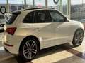 Audi SQ5 3.0TDI Plus quattro Tiptronic 340 Blanco - thumbnail 22