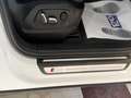Audi SQ5 3.0TDI Plus quattro Tiptronic 340 Blanco - thumbnail 38