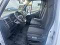 Renault Master 2.3 DCI Bakwagen 165 PK /// 12500€ netto/// Blanc - thumbnail 12
