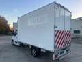 Renault Master 2.3 DCI Bakwagen 165 PK /// 12500€ netto/// Blanc - thumbnail 6