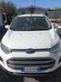 Ford EcoSport EcoSport 1.5 tdci Titanium S 95cv Bianco - thumbnail 6