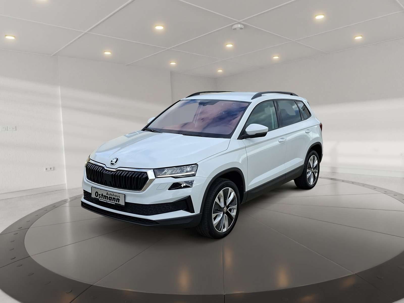 Skoda Karoq occasion