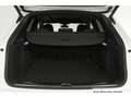 Audi SQ5 TDI tiptr. Pano/Virtual/Navi Weiß - thumbnail 18