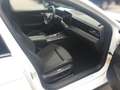 Volkswagen Passat Variant 2.0 TDI 4Motion R-Line Black Style *AHK*HUD*MATRI Weiß - thumbnail 8