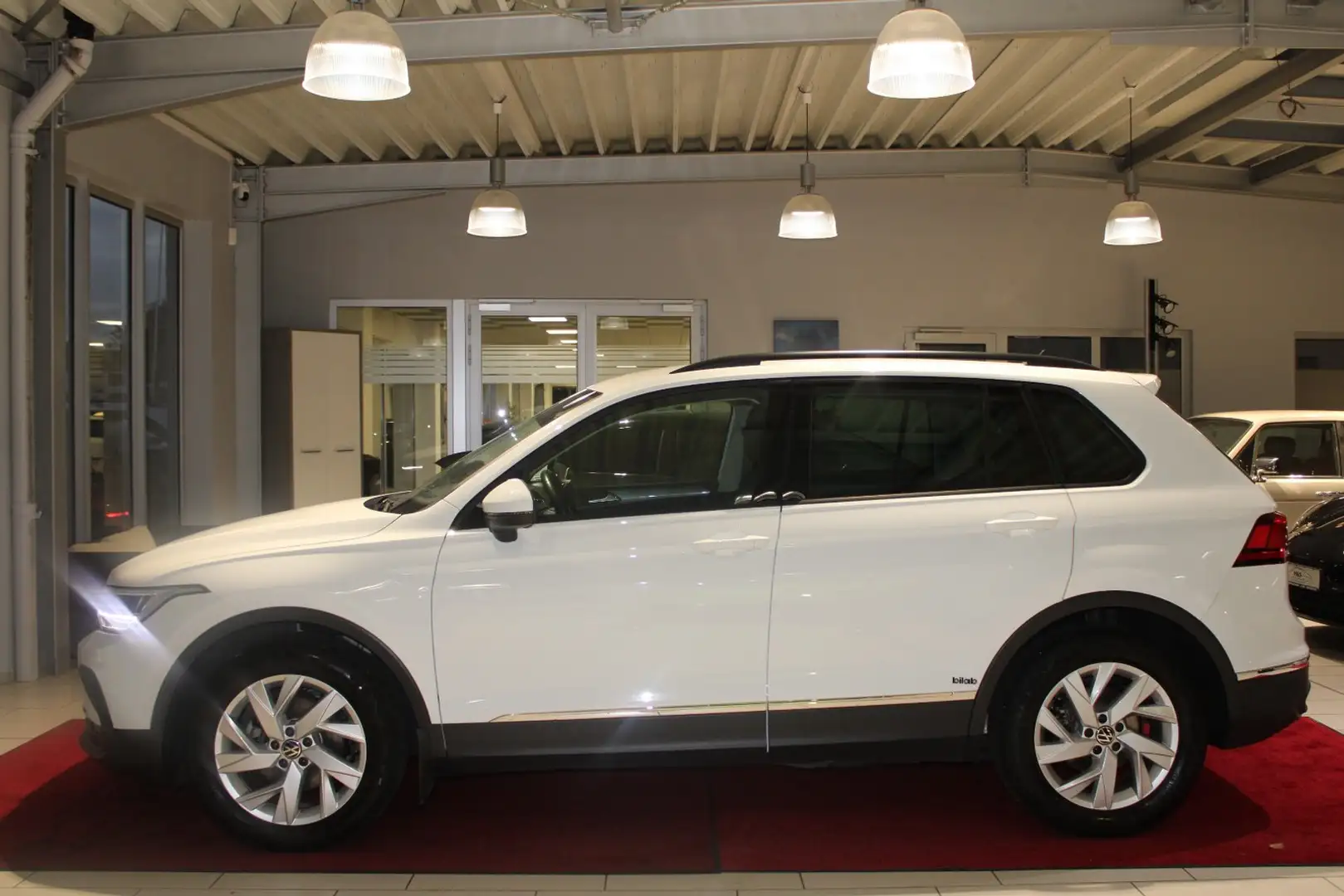 Volkswagen Tiguan 1.5 TSI Life Carplay*AHK Weiß - 2