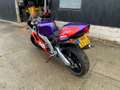 Aprilia RS 250 Mauve - thumbnail 5