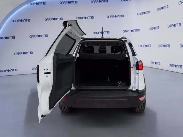 Ford Ecosport view 18