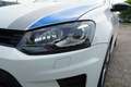 Volkswagen Polo R WRC WRC 301_2500pz//No super bollo//Garanzia - thumbnail 9